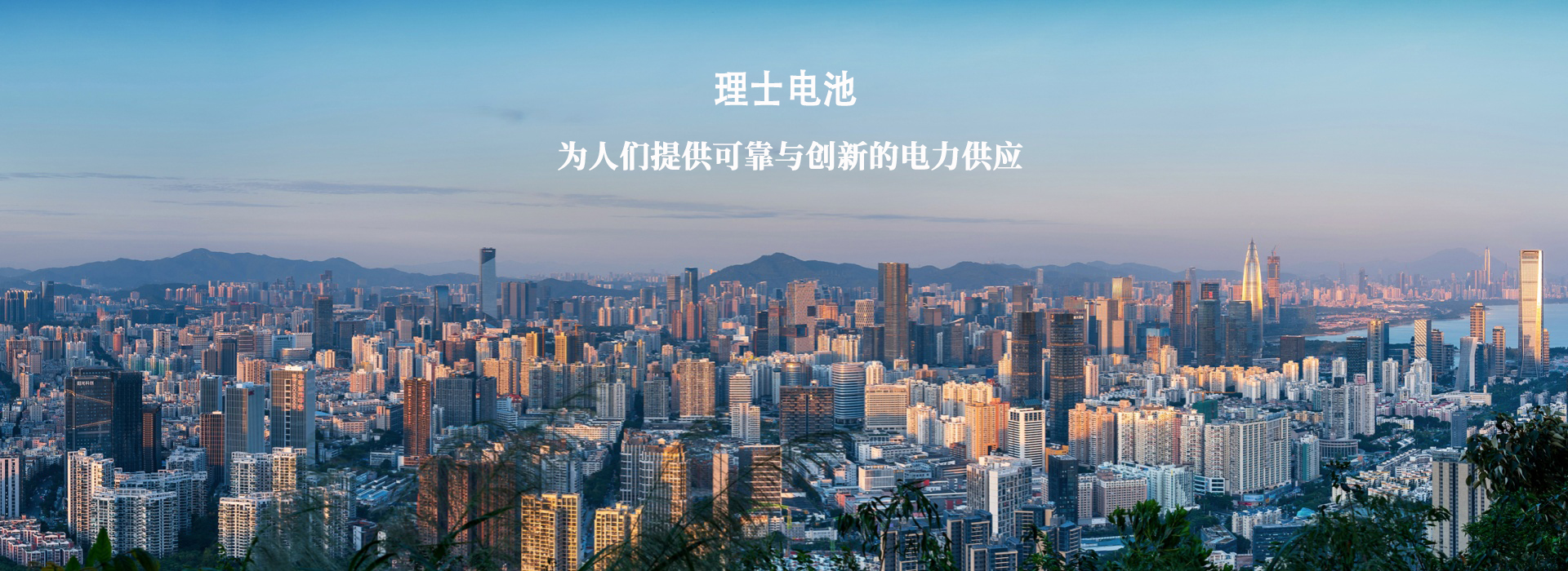 理士蓄电池|理士电池|江苏理士（LEOCH)电池有限公司|官网